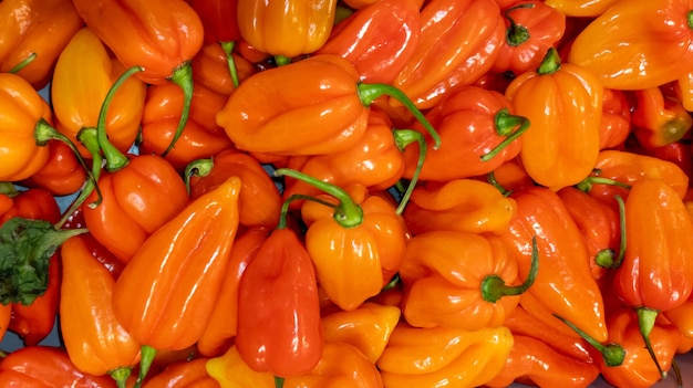 Fresh red orange small bell pepper background