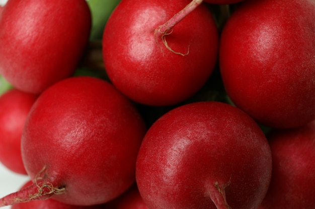 Fresh red radish on whole background