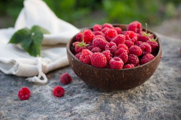 Fresh red raspberries in a coconut bowl in the garden