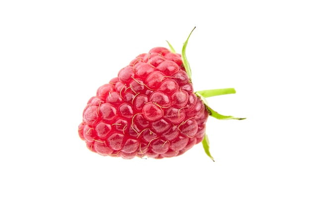 Fresh red raspberry fruit isolated