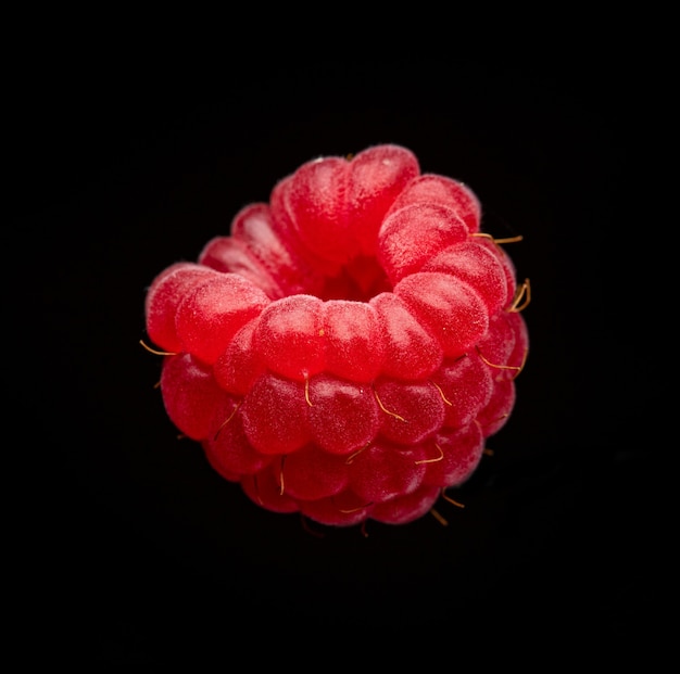 Fresh red raspberry macro isolated on black background