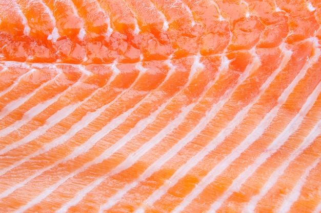 Fresh red salmon fillet Closeup 