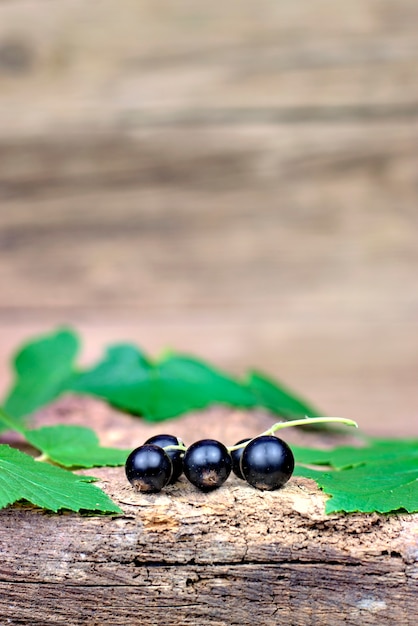 Fresh ripe black currants on an old wooden background.