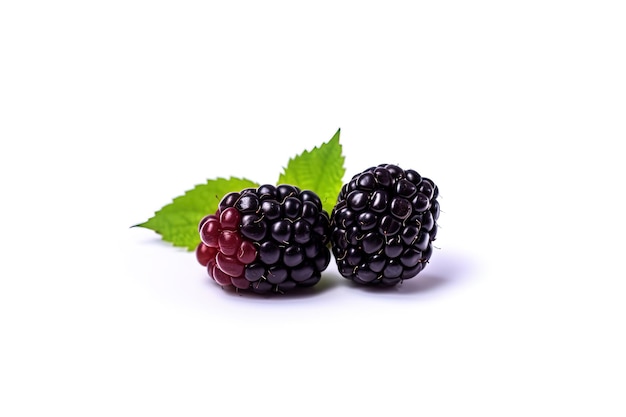 Fresh ripe blackberries isolated on white background