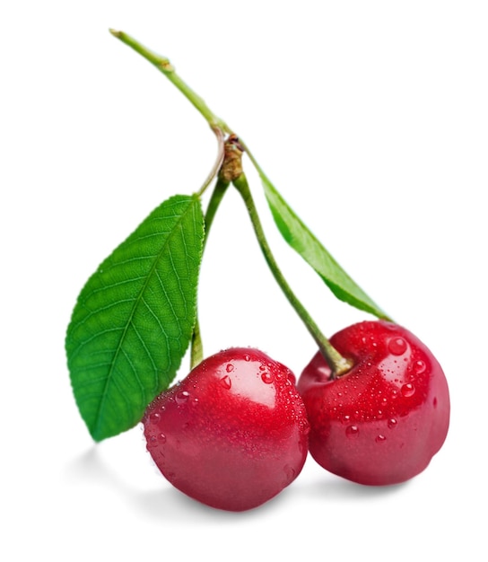 Fresh ripe cherries on white background