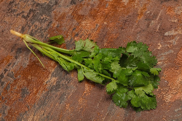 Fresh ripe Green cilantro leaves