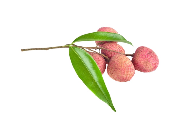 Fresh ripe lychees with green leaves on white