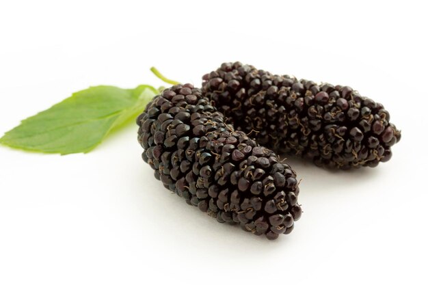 Fresh and ripe mulberries background