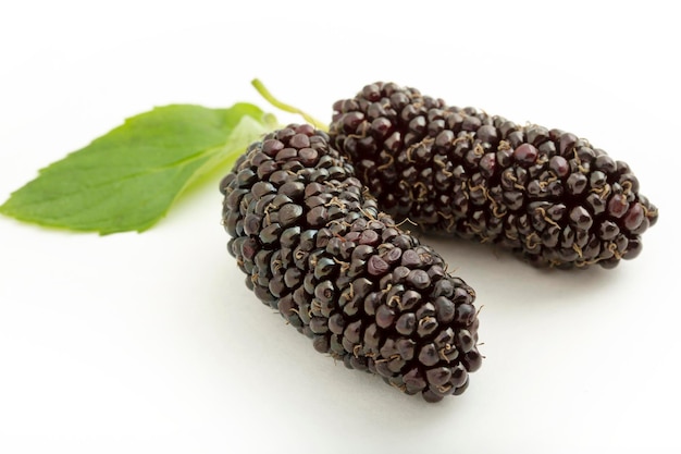 Fresh and ripe mulberries background