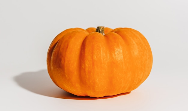 Fresh ripe orange pumpkin on white background. Space for text mockup Halloween concept