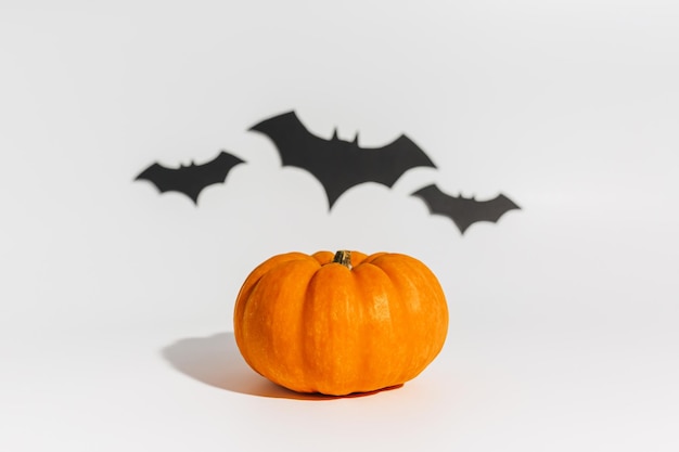 Fresh ripe orange pumpkin on white background Space with bats Halloween concept