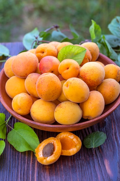 Fresh ripe organic apricots in a bowl with leaves table