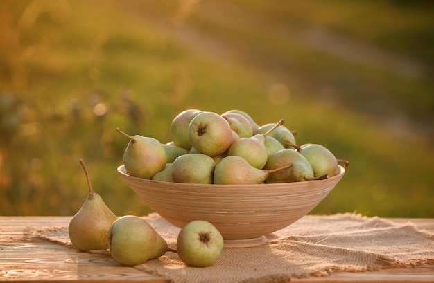 Fresh ripe pear in the basket on wooden table with natural orchard background on sunset Vegetarian fruit composition Harvesting concept