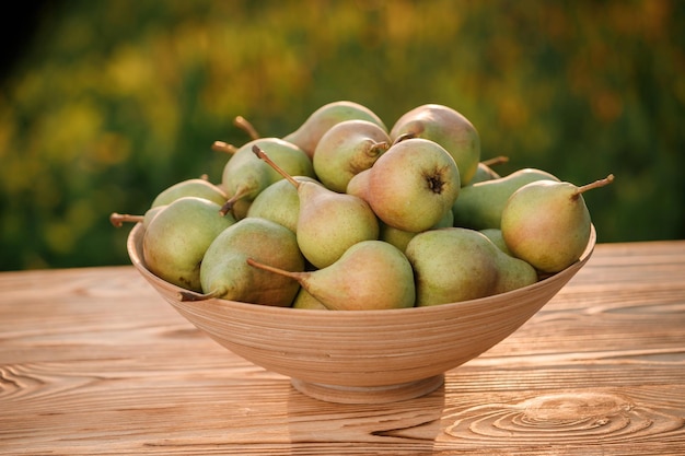 Fresh ripe pear in the basket on wooden table with natural orchard background on sunset Vegetarian fruit composition Harvesting concept