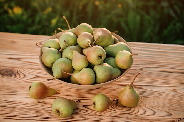 Fresh ripe pear in the basket on wooden table with natural orchard background on sunset. Vegetarian fruit composition. Harvesting concept