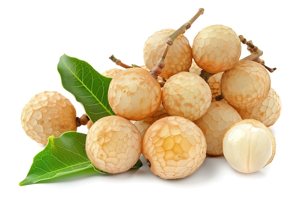 Fresh and Ripe Salak Fruit with Green Leaves Isolated on White Background