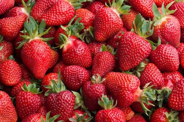 Fresh ripe strawberries 