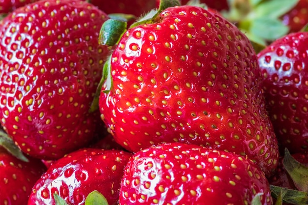 Fresh ripe strawberry close up selective focus Ripe strawberry close up Fresh strawberries