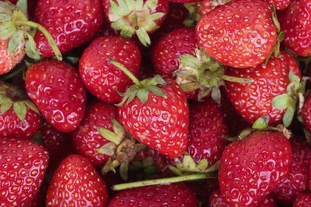 Fresh ripe strawberry