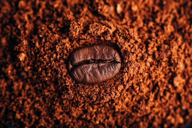 Fresh roasted coffee bean lays on heap of ground coffee