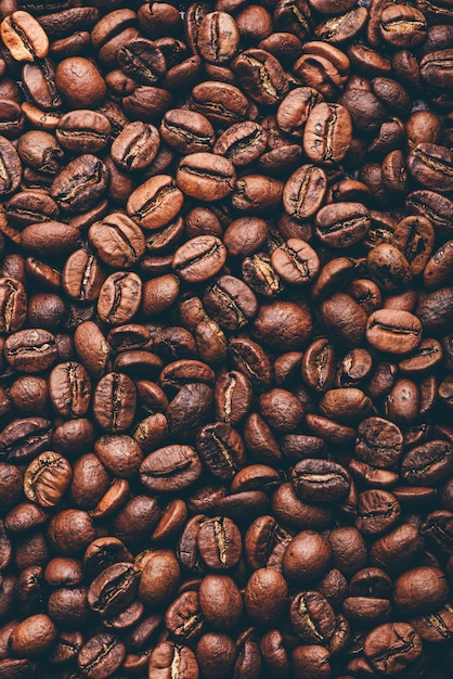 Fresh roasted coffee beans