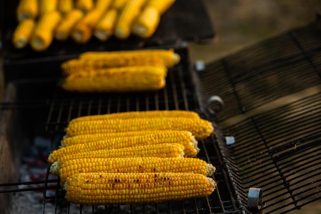 Fresh roasted or grilled corncobs. Grilled Corn for sale on the street.