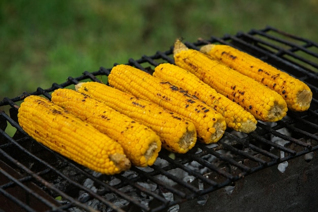 Fresh roasted or grilled corncobs.