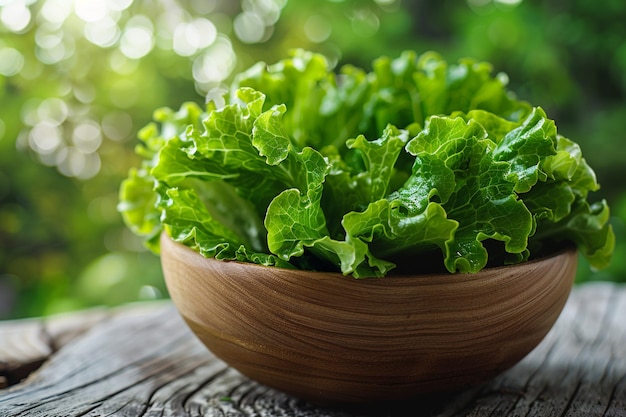 Fresh romaine lettuce or green cos lettuce in wooden bowl on background green bokeh