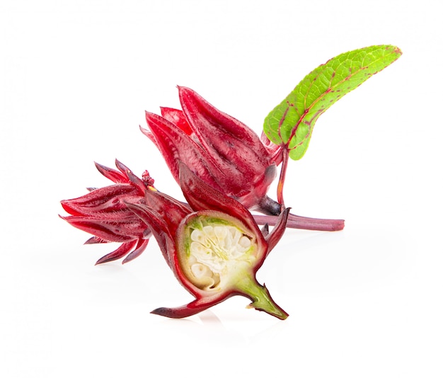 Fresh roselle hibiscus on white