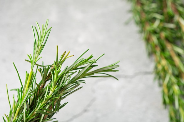 Photo fresh rosemary herb on the table