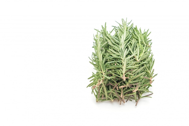 fresh rosemary on white background