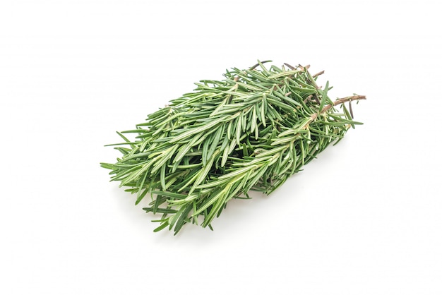 fresh rosemary on white background