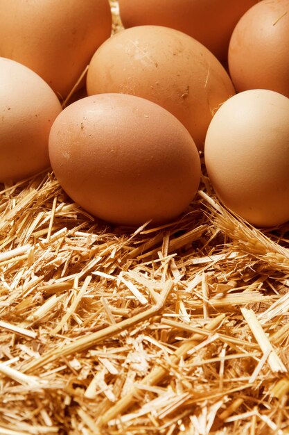 Fresh rural eggs in straw