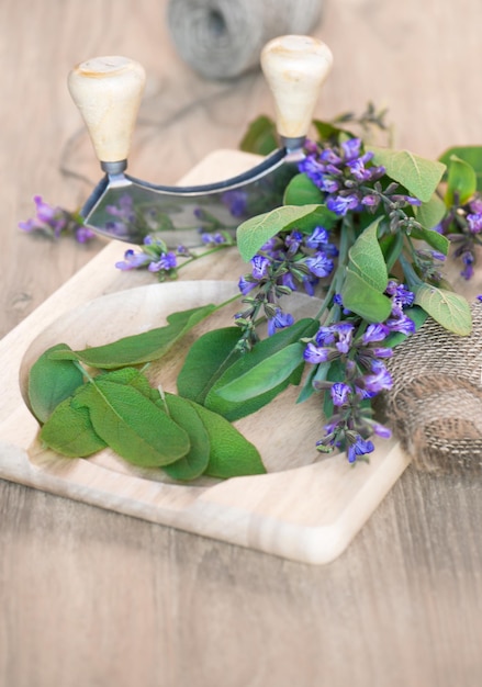 Fresh sage leaves and blossoms on wooden cutting board