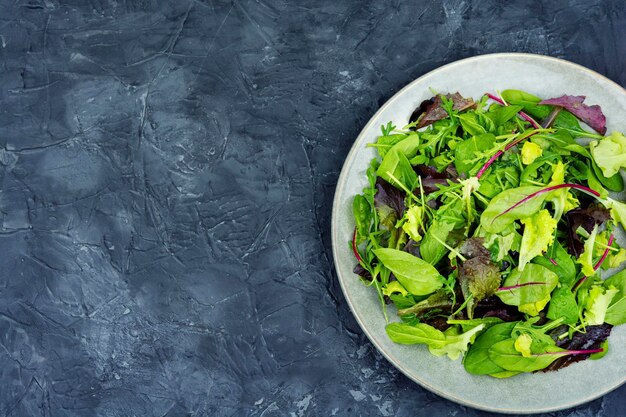 Fresh salad with mixed greens