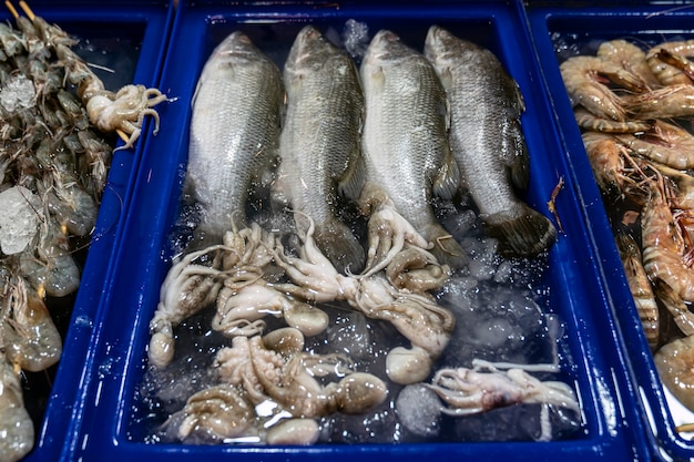 fresh sea bass fish and squid in ice water in a blue plastic box. You can buy and cook on the spot, at the sea food restaurant in Phuket in Thailand.