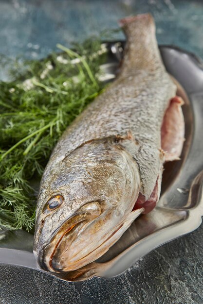 Fresh sea bass fish with herbs on the board, ready for cooking. French gourmet cuisine