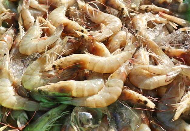 fresh shrimp at street food