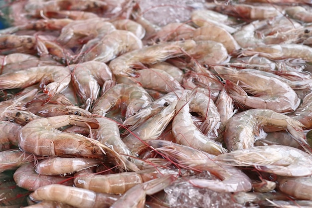 fresh shrimp at street food