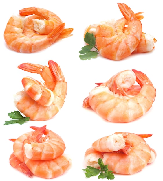 Fresh shrimps