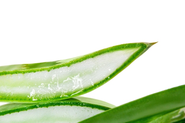 Fresh sliced aloe vera isolated on white background.