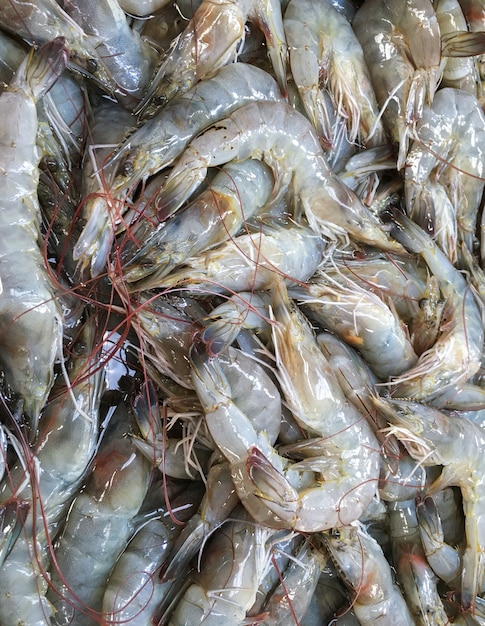 Fresh small shrimp.