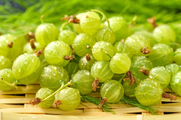 Fresh small sour berries on a natural green background