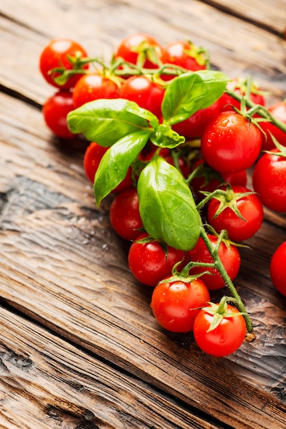 Fresh small tomatoes