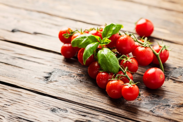 Fresh small tomatoes