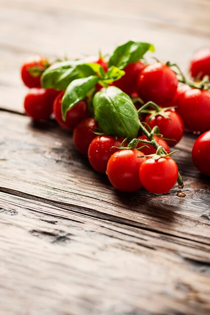 Fresh small tomatoes