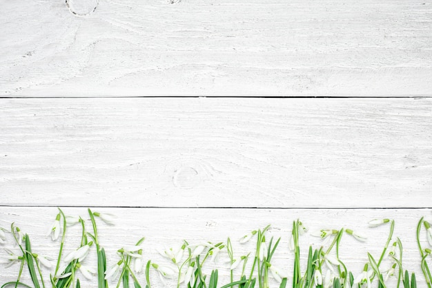 Fresh snowdrops flowers on white wooden table. top view with copy space background