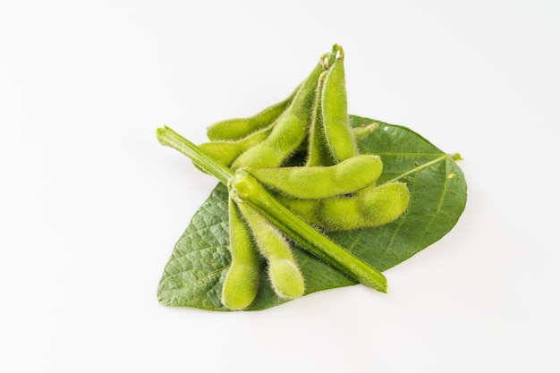 Fresh soybeans on a pure white background