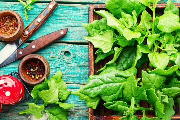 Fresh spinach leaves on rustic wooden table