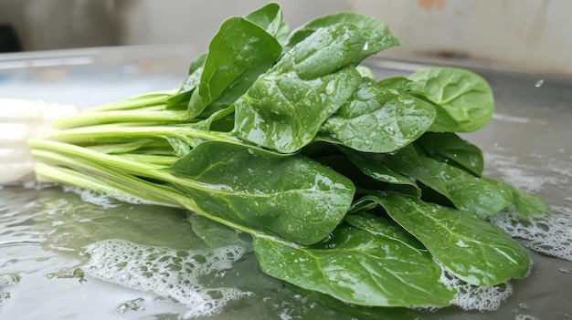 Fresh Spinach Leaves Soaked in Water